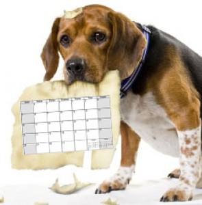 dog-calendar.jpg