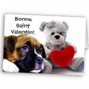 bonne_saint_valentin_boxer_dog_card-p137149504599684656en8ks_216.jpg